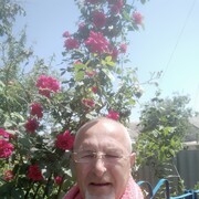  ,   , 63 ,   ,   , c 