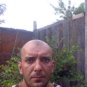  ,   , 44 ,   