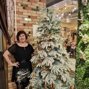 ���������� �����������, ���� ������� �����, 56 ���, ������������ ��� ������, c�������� ���������