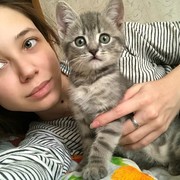 ���������� ������, ���� ������� �����, 29 ���, ������������ ��� ������, ����� � ���������, c�������� ���������