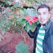  ,  ali, 34