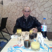  ,  Tarassirius, 41
