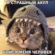  -,  , 31