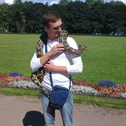 ���������� �����-���������, ���� ������� Levan, 34 ����, ������������ ��� ������