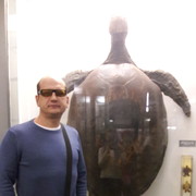 ���������� ��������������, ���� ������� ����, 54 ����, ������������ ��� ������, ����� � ���������, c�������� ���������