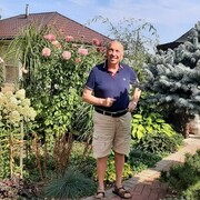 ���������� ������, ���� ������� ����� ������, 77 ���, ������������ ��� ����� � ���������, c�������� ���������