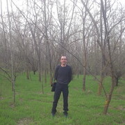 ���������� ������, ���� ������� ������, 43 ����, ������������ ��� ������, ����� � ���������, c�������� ���������