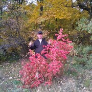  ,   , 57 ,   ,   