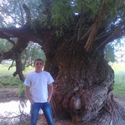  ,  pokaritel_S, 37