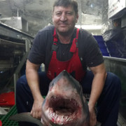  ,   , 56 ,   