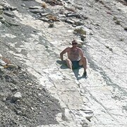 ���������� �����, ���� ������� ����������, 38 ���, ������������ ��� ����� � ���������, c�������� ���������