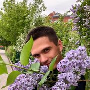 ���������� ������, ���� ������� ˸��, 33 ����, ������������ ��� ������, ���������