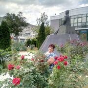 ���������� ���������, ���� ������� ��������, 56 ���, ������������ ��� c�������� ���������