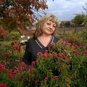  ,  Tanya, 50