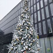 ���������� �������, ���� ������� �������, 39 ���, ������������ ��� ������, ����� � ���������, c�������� ���������