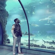 ���������� ������, ���� ������� �����, 30 ���, ������������ ��� ������, ����� � ���������