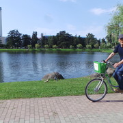  ,   , 61 ,   ,   , c 