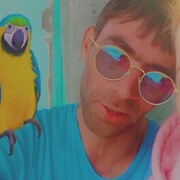 ���������� ����, ���� ������� ������, 41 ���, ������������ ��� ������, ����� � ���������, c�������� ���������