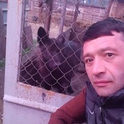  ,   , 41 ,   ,   