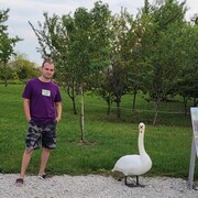 ���������� ���������, ���� ������� Alexander, 30 ���, ������������ ��� ���������