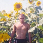 ���������� �������-����������, ������� volk, 39