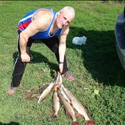  ,   , 52 ,  
