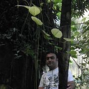  ,   Suhrob, 49 ,   ,   , c 
