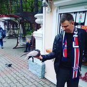 ���������� ���������, ���� ������� ���������, 38 ���, ������������ ��� ������, ����� � ���������, c�������� ���������, ���������