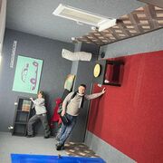  --,   , 36 ,   ,   