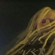  -,   , 41 ,  