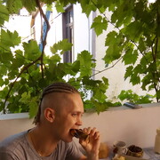 ���������� ������, ���� ������� �������, 37 ���, ������������ ��� ������, ����� � ���������, c�������� ���������