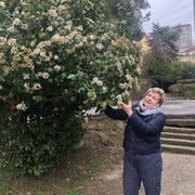 ���������� ������������, ���� ������� ������, 64 ����, ������������ ��� ������, ����� � ���������, ���������