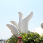 ���������� ������, ���� ������� ������, 47 ���, ������������ ��� ������, ����� � ���������