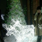 ���������� ������, ���� ������� ���������, 41 ���, ������������ ��� ������, ����� � ���������, c�������� ���������