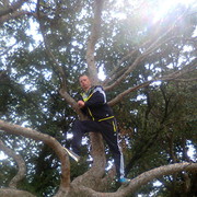 ���������� �����������, ���� ������� Dimon, 41 ���, ������������ ��� ������, ����� � ���������, c�������� ���������