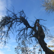  ,   , 50 ,   