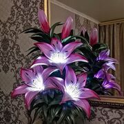 ���������� ������, ���� ������� Alijon, 39 ���, ������������ ��� ������, ����� � ���������