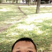  ,   MEDA, 39 ,   ,   , c 