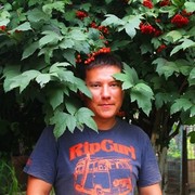 ���������� ���������, ������� �������, 37