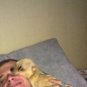 ����������� �������