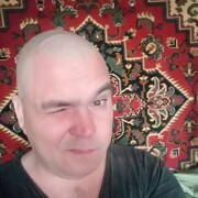  ,  , 41