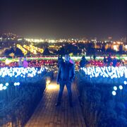 ���������� ����������, ������� ������, 37