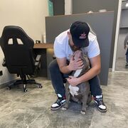 ���������� ���������, ���� ������� ������, 33 ����, ������������ ��� ����� � ���������, c�������� ���������