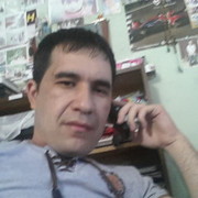 ,  sher, 43