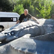 ���������� ������, ���� ������� �������, 51 ���, ������������ ��� ������, ����� � ���������