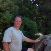 ���������� ������, ���� ������� �����������, 49 ���, ������������ ��� ������, ����� � ���������, c�������� ���������, ���������