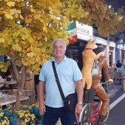  --,   , 79 ,   ,   