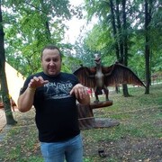  ,   DuckDodgers, 36 ,   