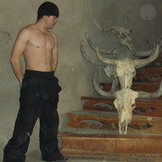  ,  , 44
