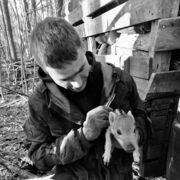 ���������� ������, ���� ������� ������, 26 ���, ������������ ��� ������, ����� � ���������